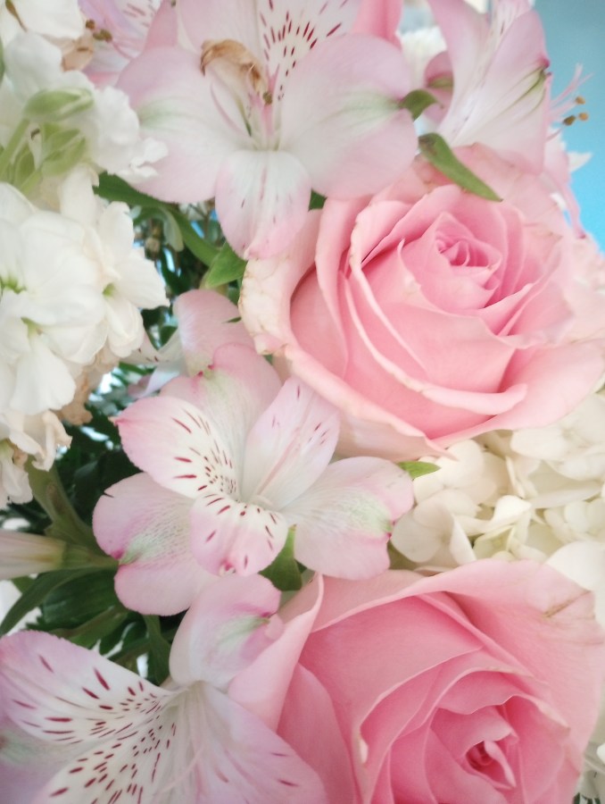 Joy Comes in the&nbsp;Morning